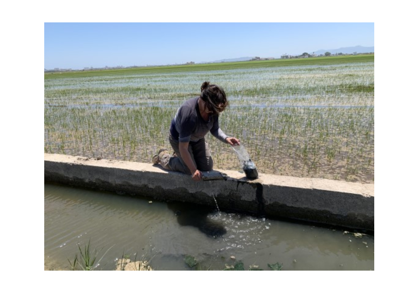 Water sampling in L'Albufera Natural Park/Yolanda Picó